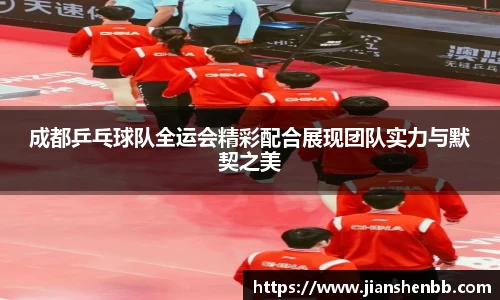 成都乒乓球队全运会精彩配合展现团队实力与默契之美