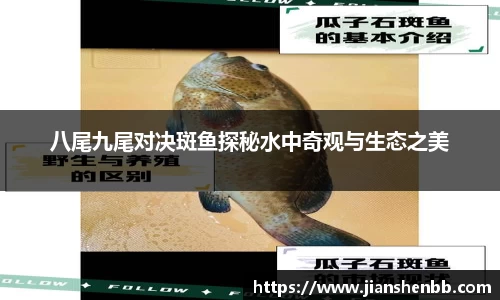 八尾九尾对决斑鱼探秘水中奇观与生态之美
